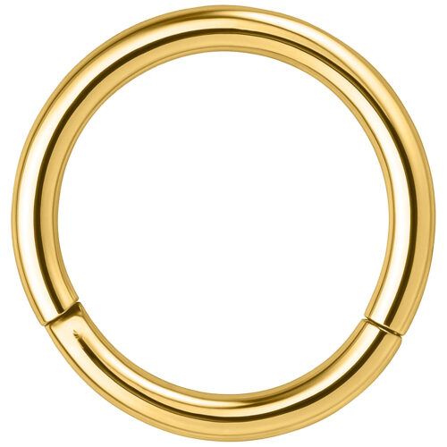 Hinged Segmentring in acciaio dorato