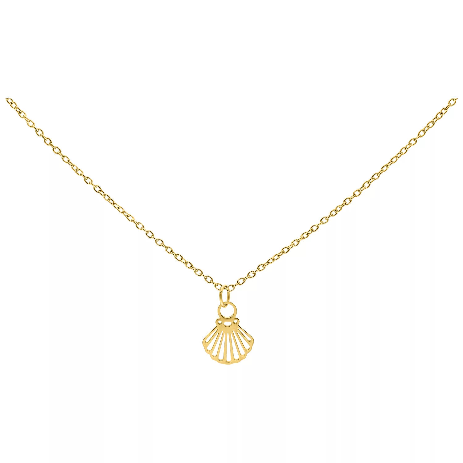 Little Shell Chain Little Shell Chain