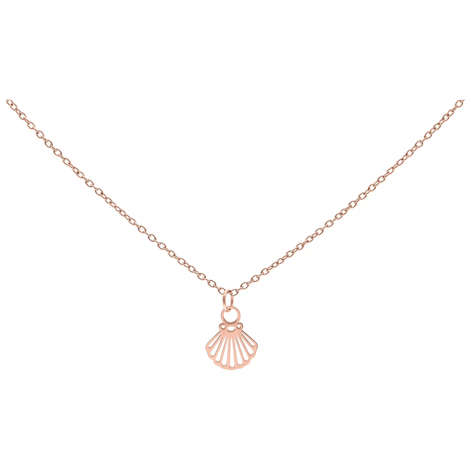 Little Shell Chain Little Shell Chain