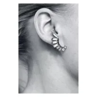 Crystal Statement Earrings
