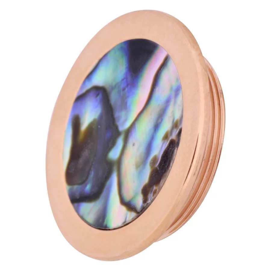 X-Change Abalone