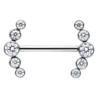 Penta Crystal Barbell