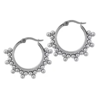 Ornaments Earrings