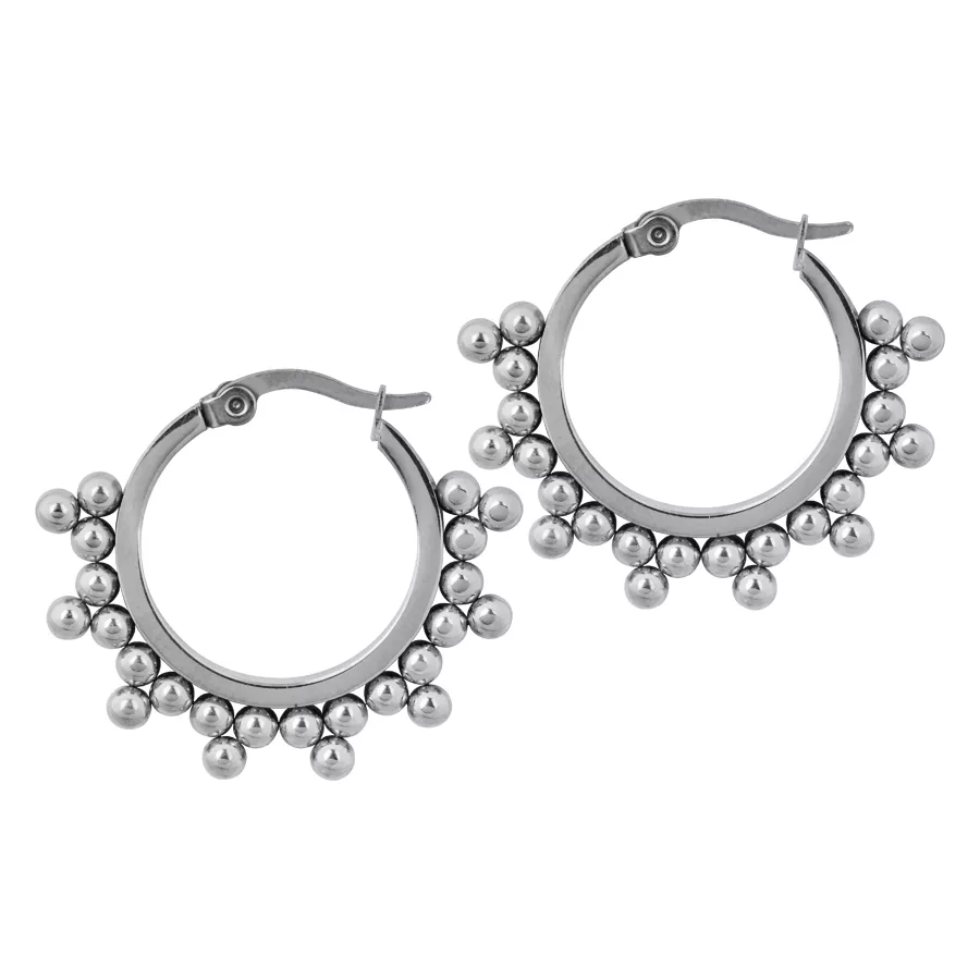 Ornaments Earrings