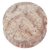 Brain Coral Plug
