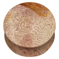 Brain Coral Plug
