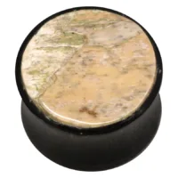 Fossilized Mammoth Ivory Inlay Buffalo Horn Plug