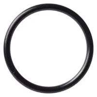 Continuous Ring Blackline