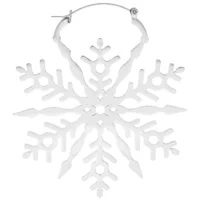 Orecchini Fiocco di Neve in Acciaio Chirurgico Argento Orecchini d'argento a forma di fiocco di neve su sfondo bianco