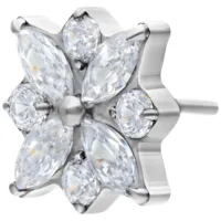 Push Fit Crystal Blossom Attachment