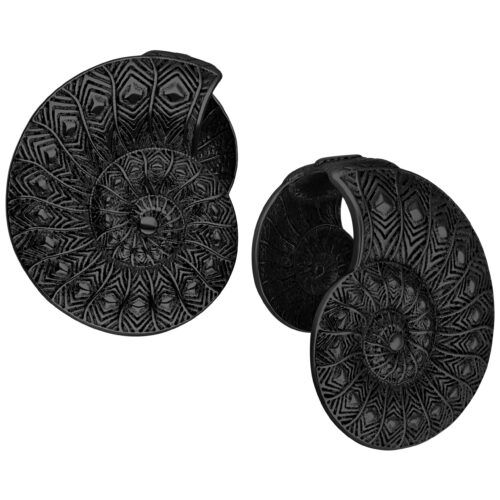 Pesi per Orecchio Ear Cuffs Fossile