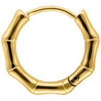 Goldener Ohrring im Bambus-Design mit Klappverschluss auf weißem Hintergrund