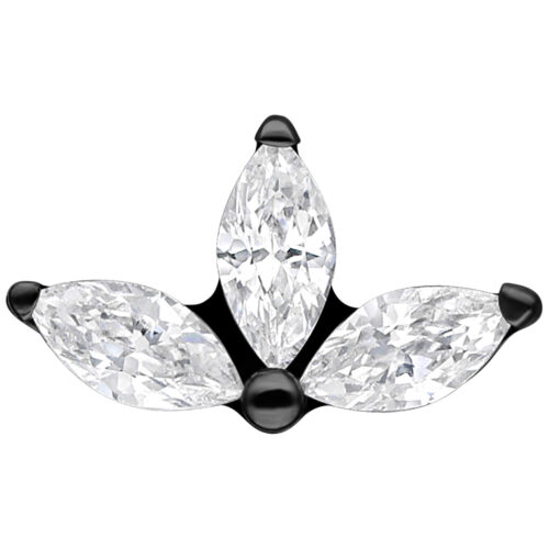 Push Fit Crystal Lotus Attachment - Nero