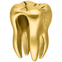 Goldenes Ohrgewicht in Zahnform auf weißem Hintergrund