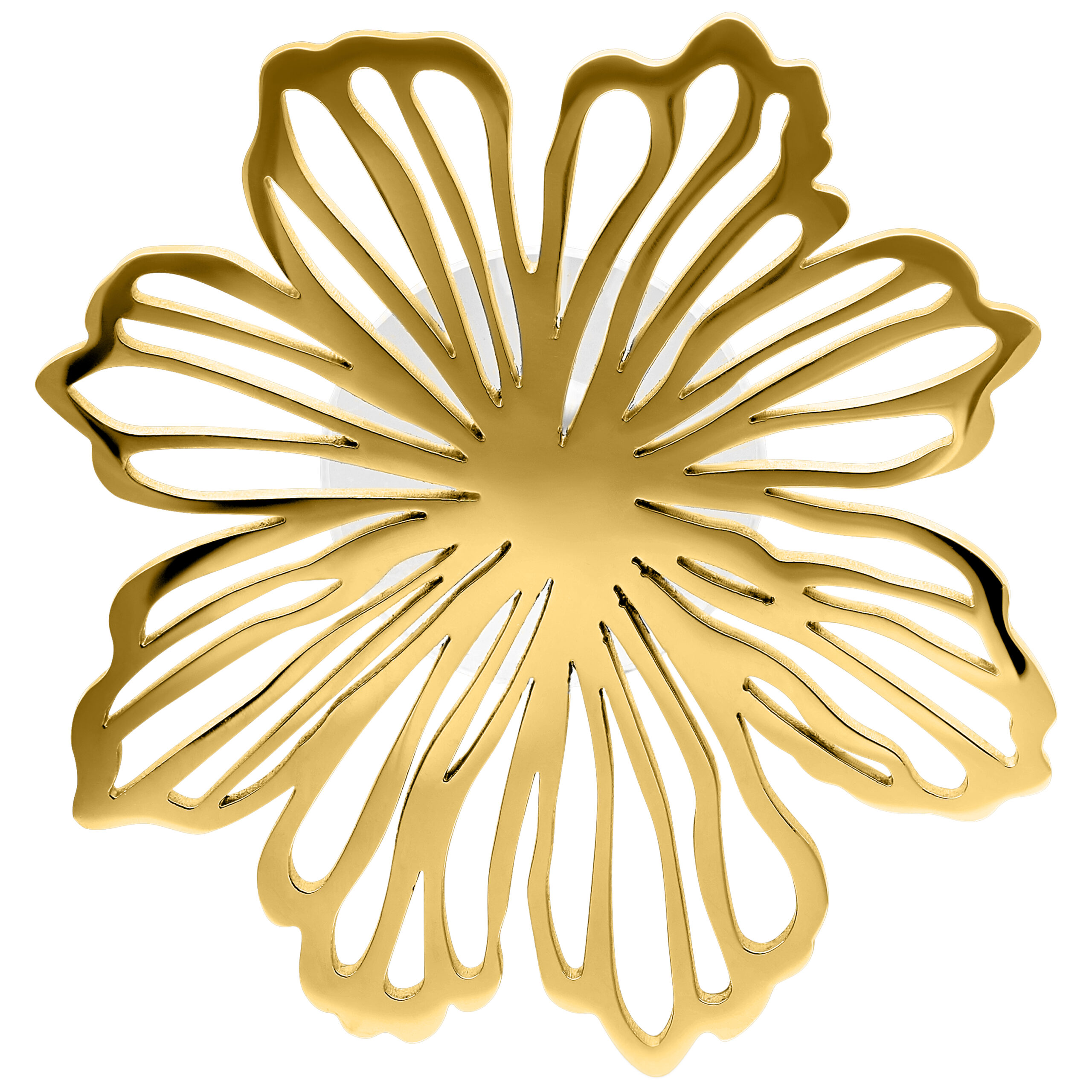 Goldene Ohrstecker in Blumenform auf weißem Hintergrund