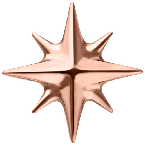 Push Fit Star Attachment - Oro rosa
