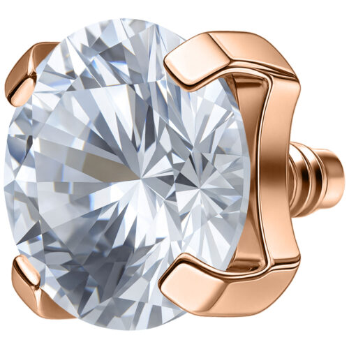 Terminale Prong Set Per Labret Filettati Internamente Titanio