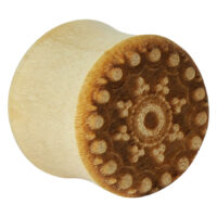 Pavo on Crocodile Pavo on Crocodile