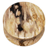 Plug rotondo in materiale fossile, superficie con motivi in tonalità beige e marroni