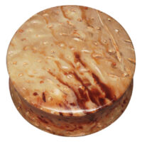 Plug rotondo da palma fossile con tonalità beige e marroni su sfondo bianco