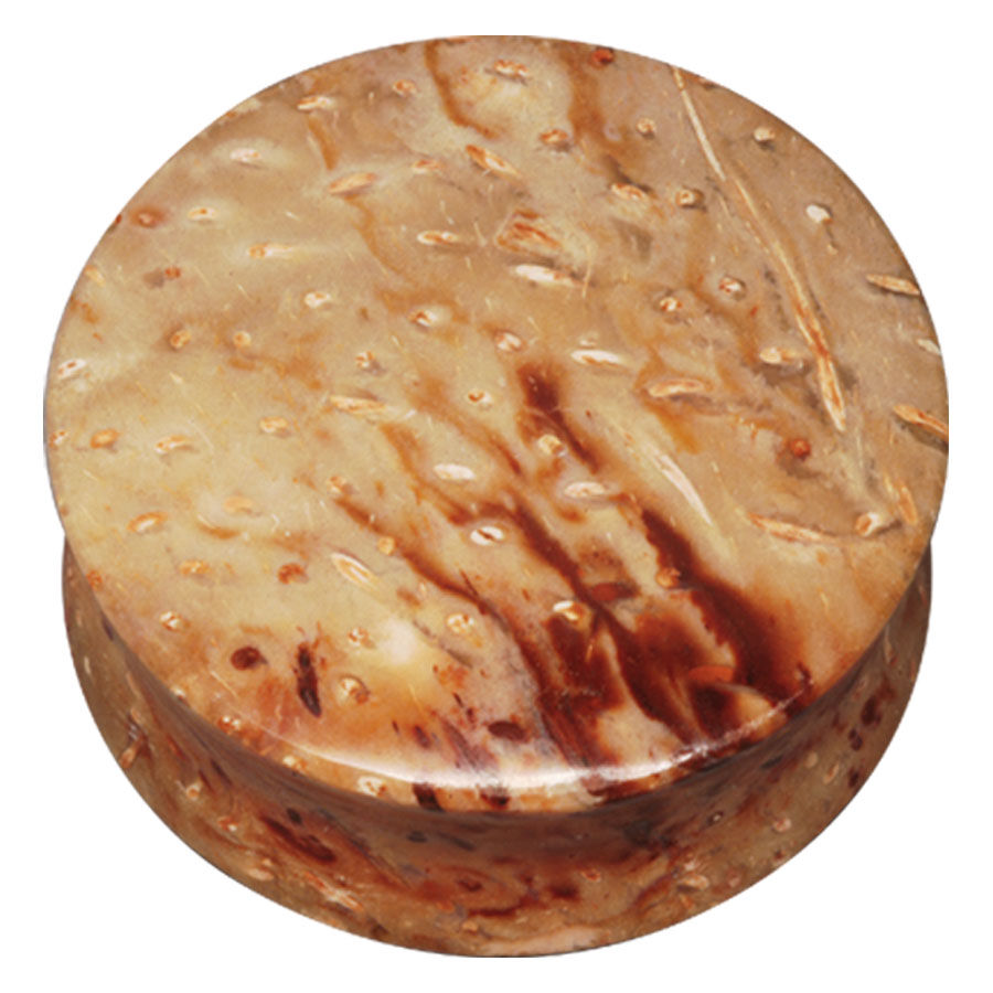 Plug rotondo da palma fossile con tonalità beige e marroni su sfondo bianco