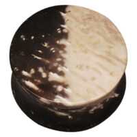 Plug bicolore in legno di palma fossilizzato su sfondo bianco