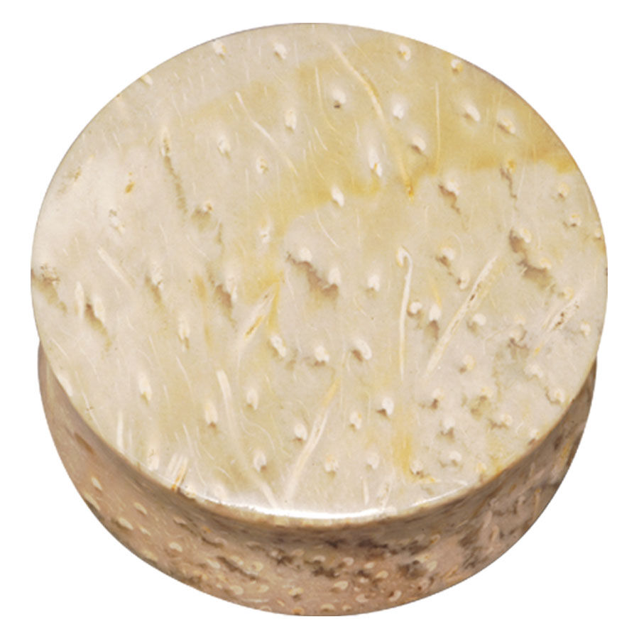 Plug rotondo in materiale fossile di colore crema su sfondo bianco