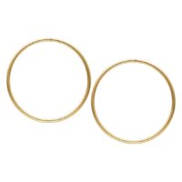 Due grandi cerchi dorati in acciaio chirurgico su sfondo bianco