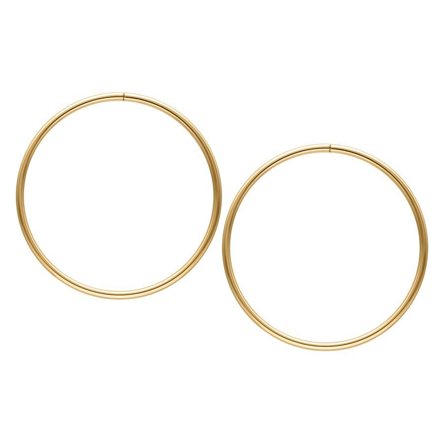 Due grandi cerchi dorati in acciaio chirurgico su sfondo bianco