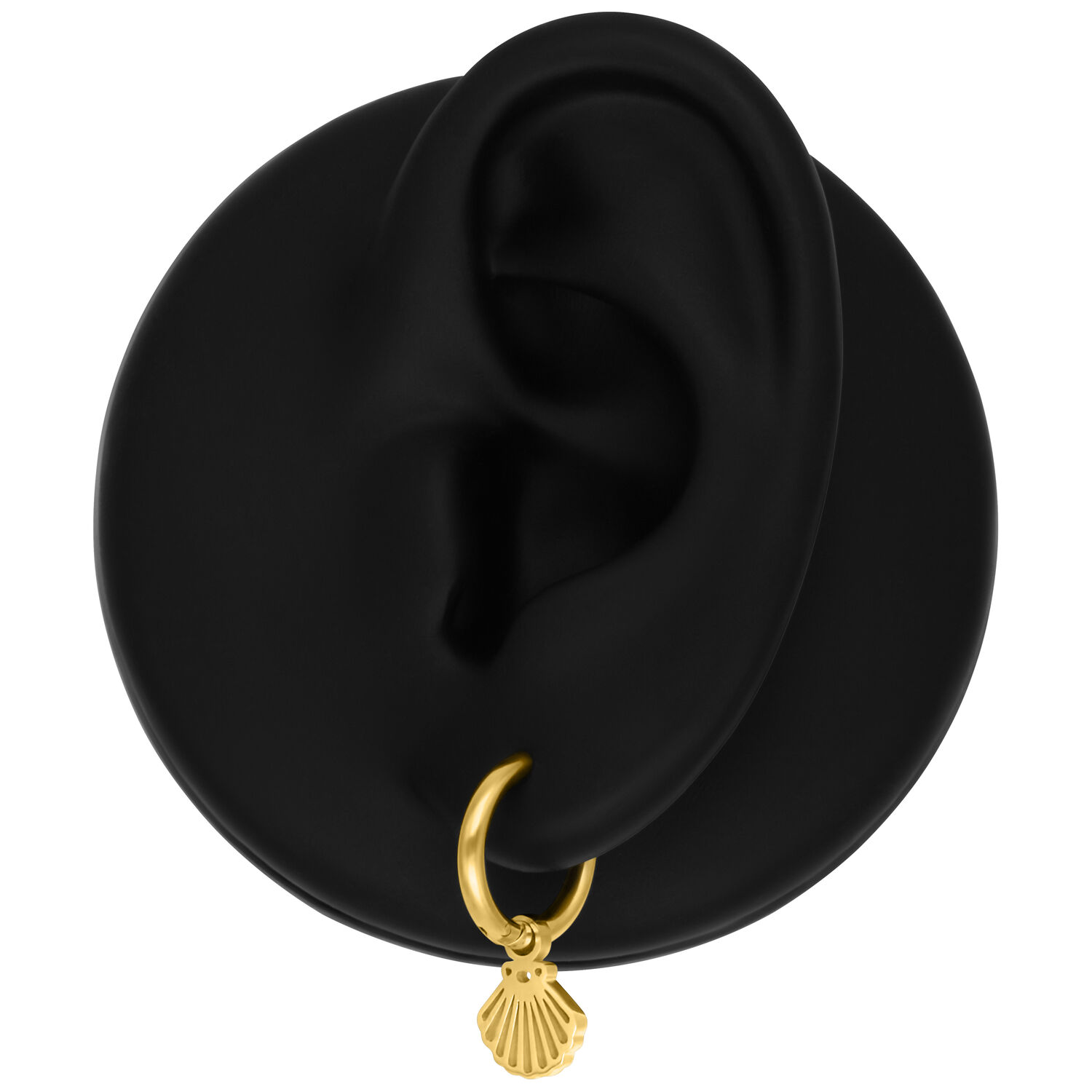 Goldene Mini Shell Hoop Ohrringe an schwarzem Ohr auf weißem Hintergrund