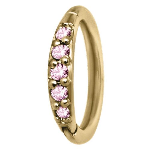 Hinged Ring cristalli in acciaio