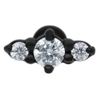 Black Triplet Barbell Black Triplet Barbell