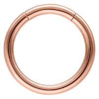 Rosegold Segment Ring Rosegold Segment Ring