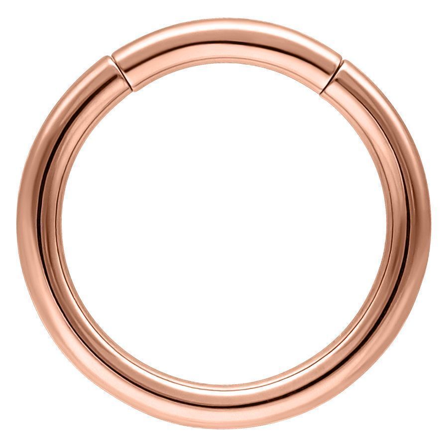Rosegold Segment Ring Rosegold Segment Ring