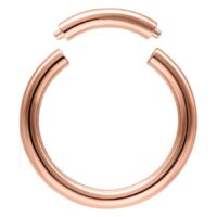 Rosegold Segment Ring Rosegold Segment Ring