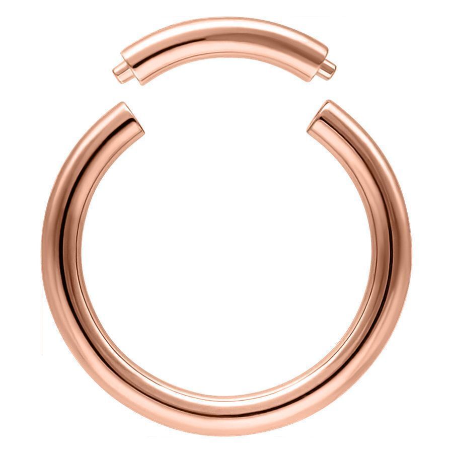 Rosegold Segment Ring Rosegold Segment Ring