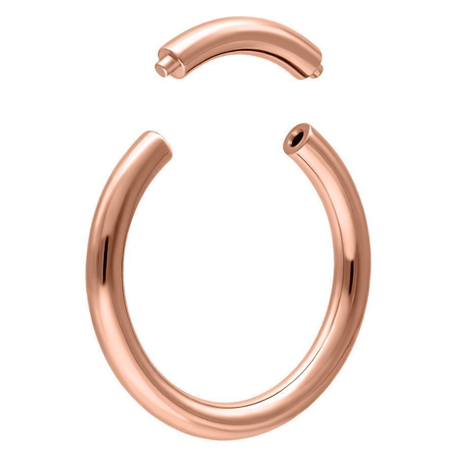 Rosegold Segment Ring Rosegold Segment Ring