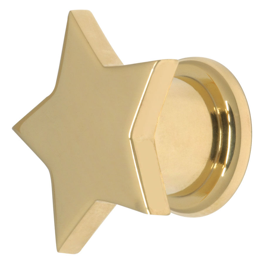 Steel Basicline® Screw Front Fleshtunnel Gold Star Steel Basicline® Screw Front Fleshtunnel Gold Star