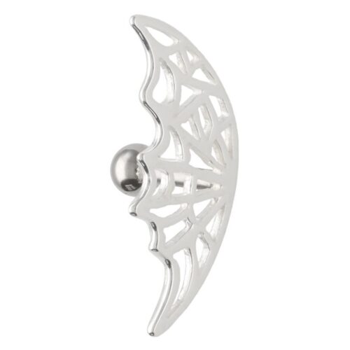 Barbell Orecchio Ragnatela Argento Acciaio