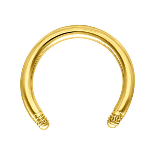 Circular Barbell in Acciaio