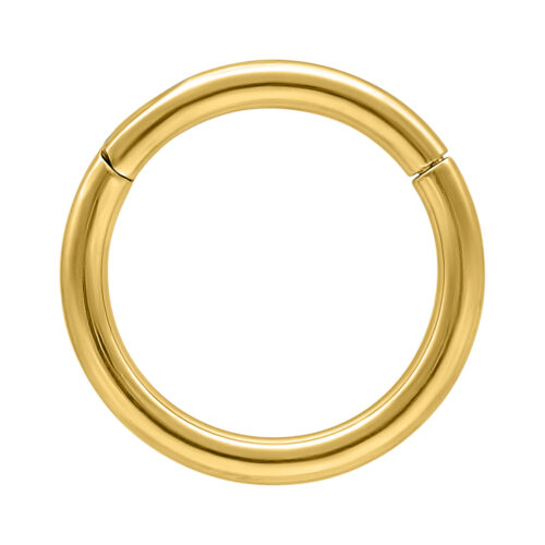 Hinged Ring in titanio