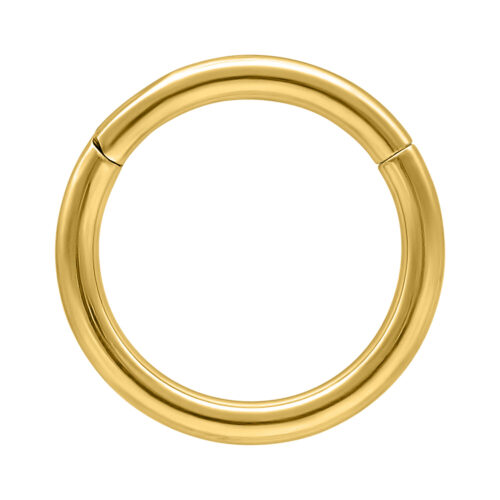 Hinged Ring in titanio