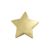 Punta a stella in titanio dorato per piercing Stella dorata in titanio, 5 mm, su sfondo bianco