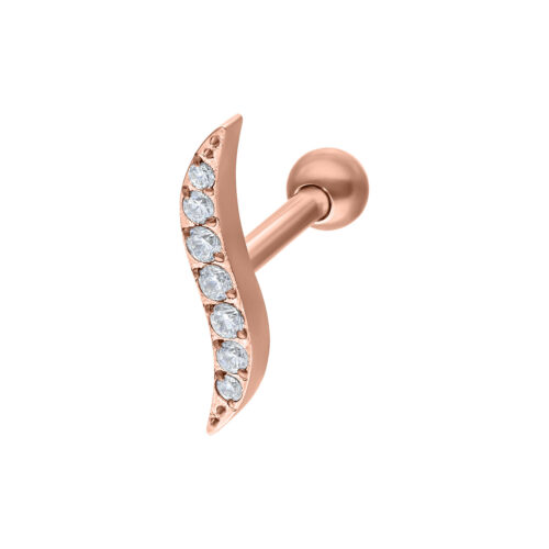 Earbarbell crystal wave in titanio - Oro rosa