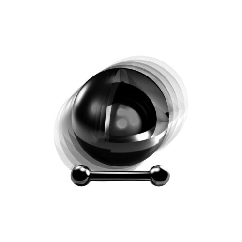Barbell Sonaglio in titanio nero filetto interno
