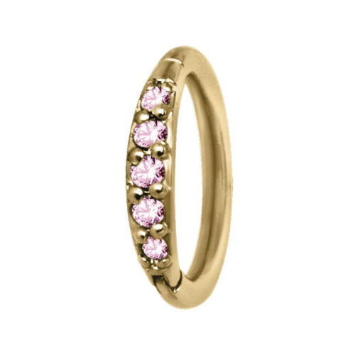 Hinged Ring cristalli in acciaio
