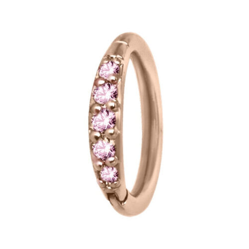 Hinged Ring cristalli in acciaio