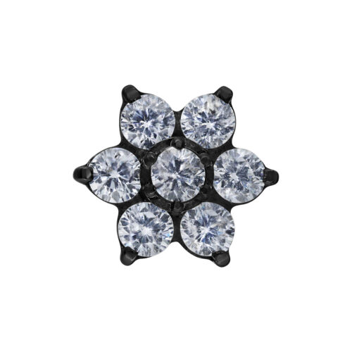 Terminale push-fit Crystal Flower in titanio - Nero