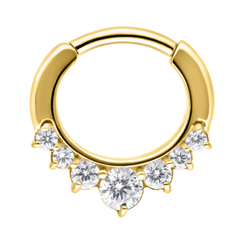 Hinged Ring cristalli in acciaio