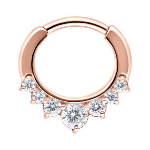 Hinged Ring cristalli in acciaio